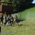 Photo035