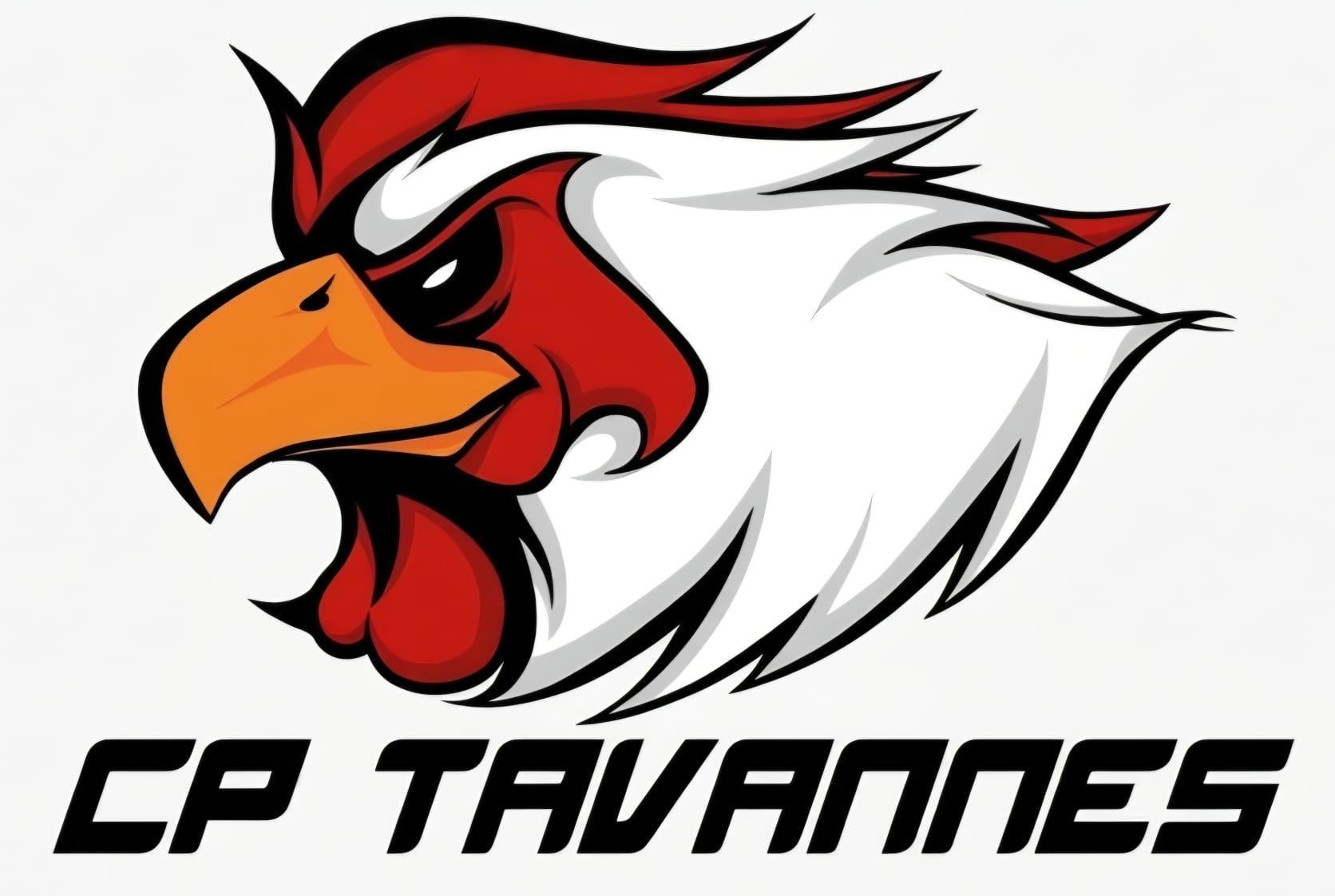 Club des patineurs Tavannes